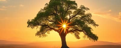 Mindful Money: Investing with Purpose and Prudence