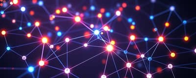 The Wealth Web: Interconnectedness of New Crypto Assets